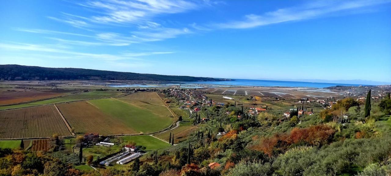 Apartments Milok Sečovlje Kültér fotó